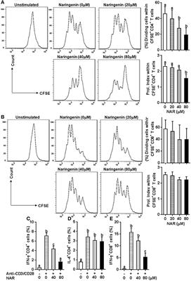 Naringenin Modifies the Development of Lineage-Specific Effector CD4+ T Cells